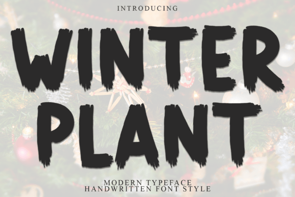 Winter Plant: The Bold Typeface That Transformed My Brand Identity